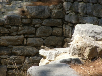 photo 885616