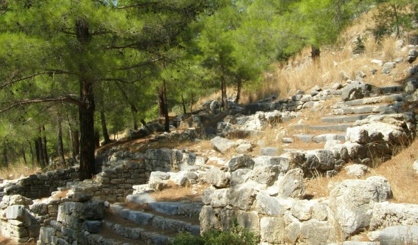 P1010601