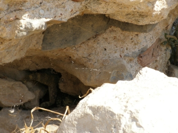 photo 885702