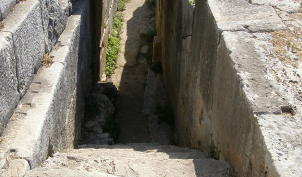 P1010548