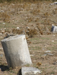 photo 885709