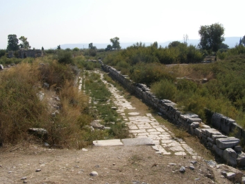 photo 885713