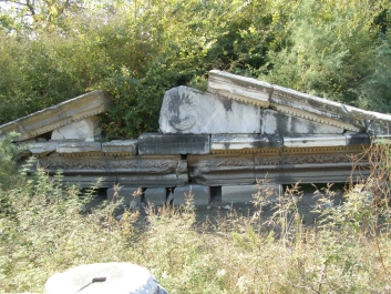 photo 885714
