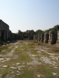 photo 885719
