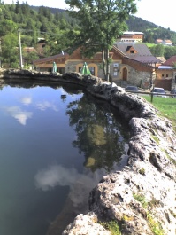 photo 154603