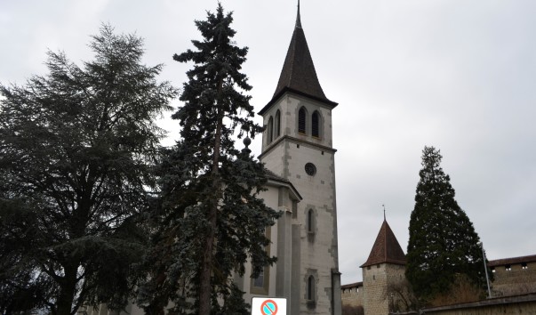 _DSC0460 (2)