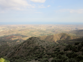 photo 264343