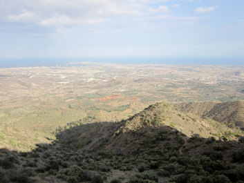 photo 264351