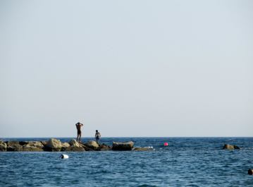 photo 330783