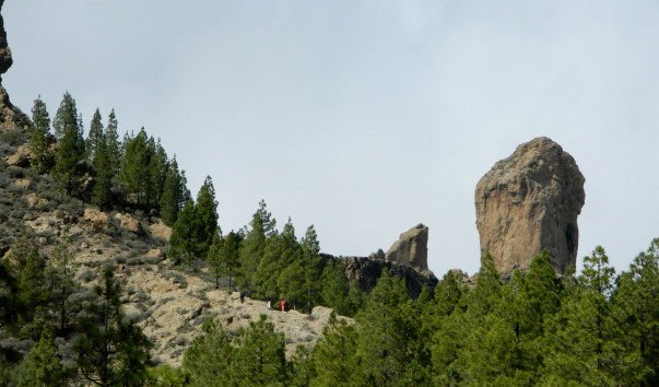 DSCN0906