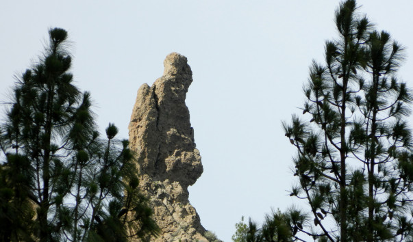 DSCN0900