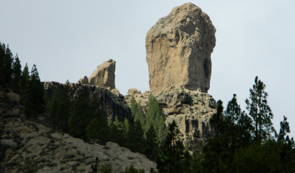 DSCN0894
