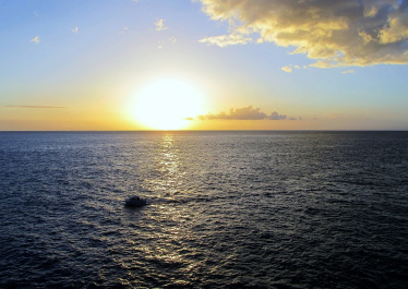 photo 328687