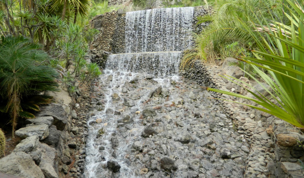 DSCN0203