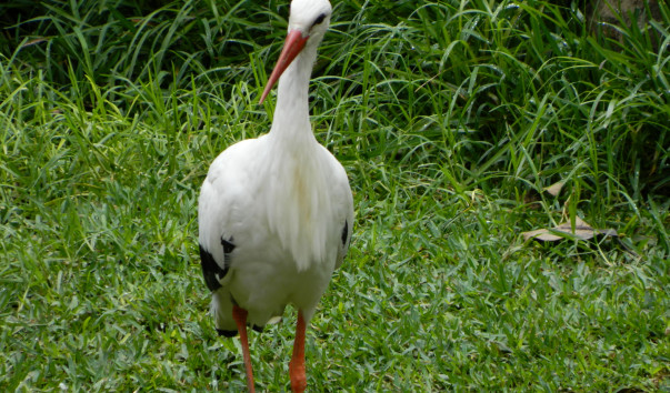 DSCN0112
