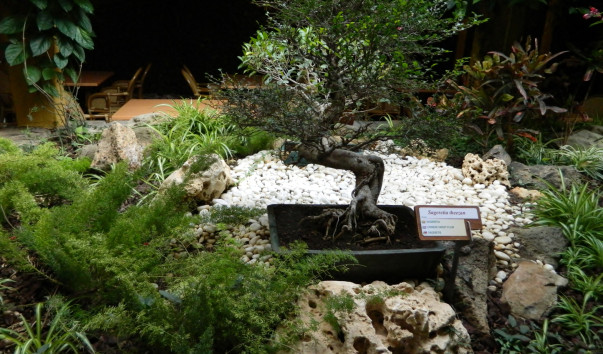 DSCN0063