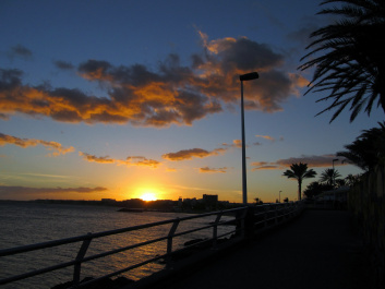 photo 337523