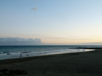 photo 337543