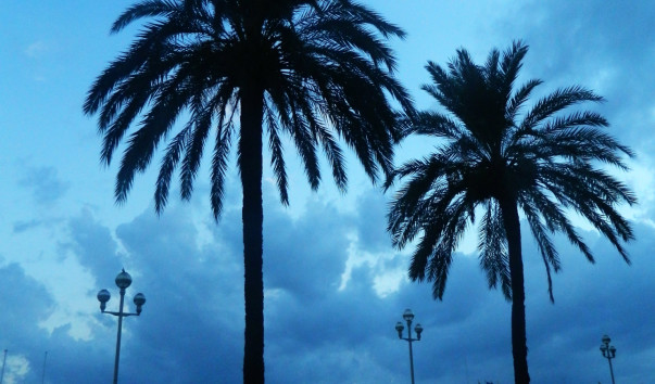 DSCN2764