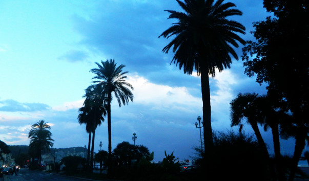 DSCN2755