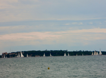 photo 337428
