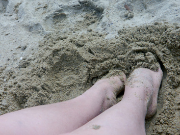 photo 337429