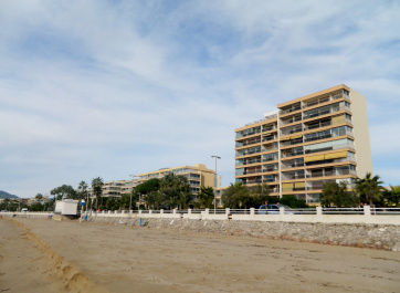 photo 337435
