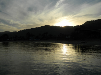 photo 331383