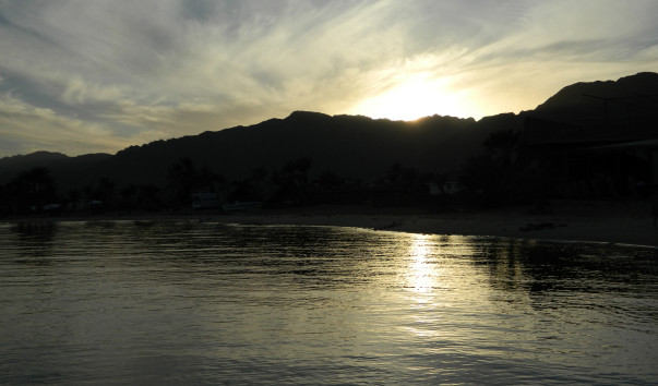 DSCN3092