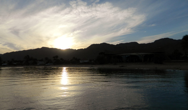 DSCN3083