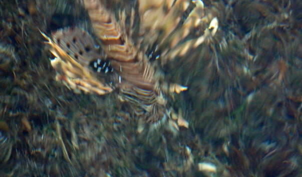 DSCN3074