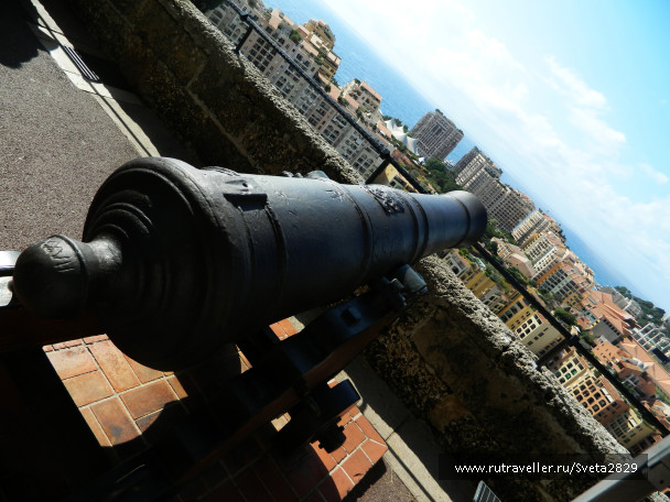 photo 331543