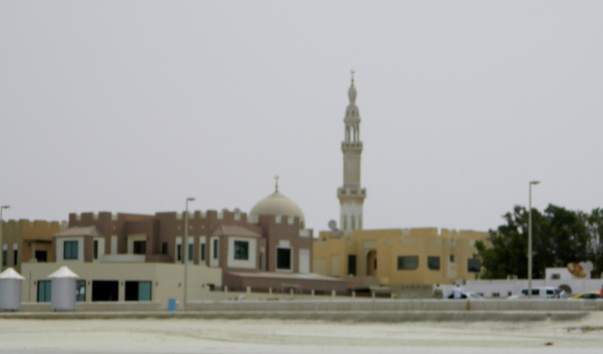 DSCN8408