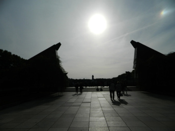photo 337953