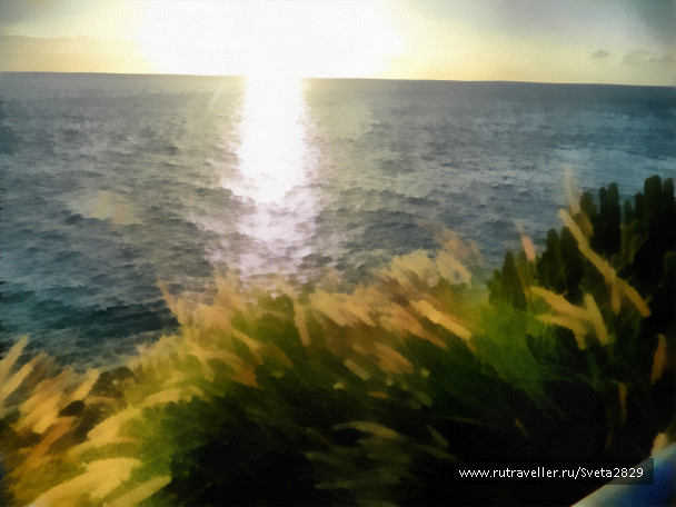 photo 357713