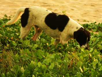 photo 723252