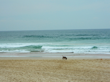 photo 723255