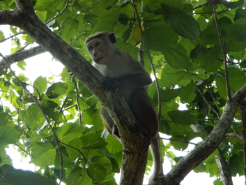 photo 723262