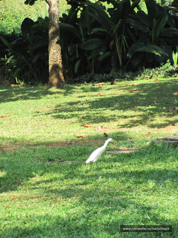 photo 27591