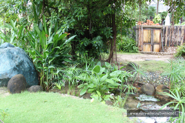 photo 283528