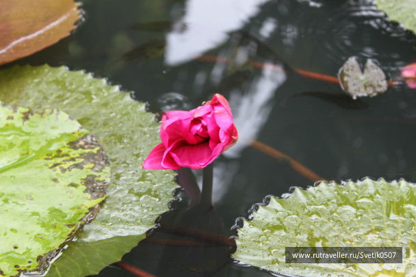 photo 283530