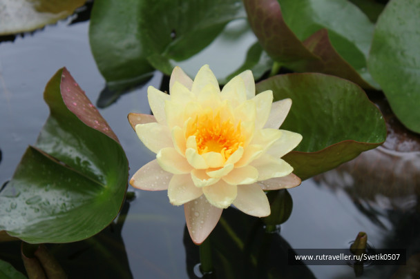 photo 283531