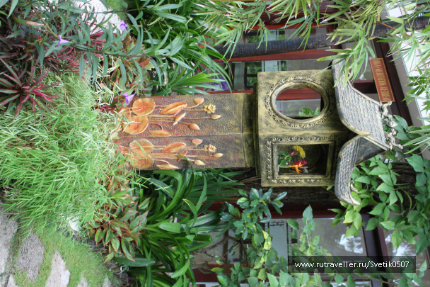 photo 283534