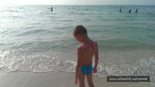 photo 1105958
