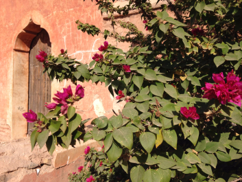 photo 1369368
