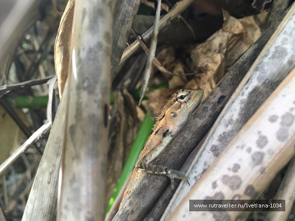 photo 1349254