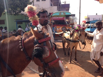 photo 1369344