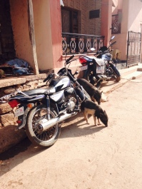photo 1369357