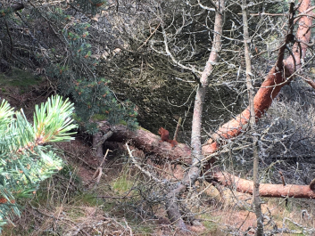 photo 1370271