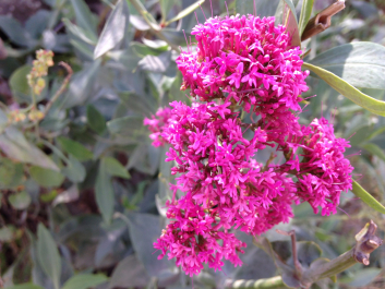 photo 1376349